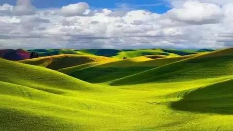 别样的青春风景600字记叙文（青春的风景作文满分）