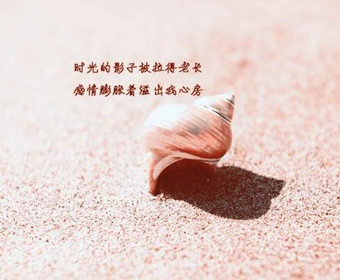 正能量激励人的短句子（积极正能量最暖心短语）