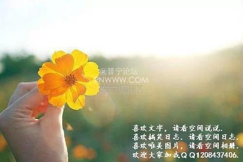 热爱生活的优美句子短句（积极向上热爱生活的文案简短语句）