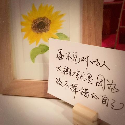 表达心情失落的文案（形容失落又无奈的祝福语）