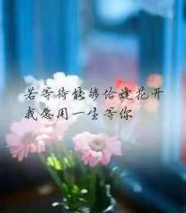 下雪伤感孤独的句子图片（孤独一个人伤感说说心情短语话语）