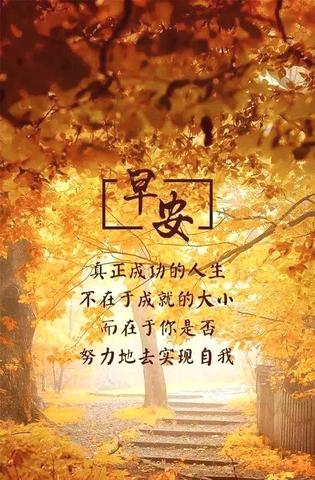 早晨充满正能量的句子（每日一语早安晚安语录名言）