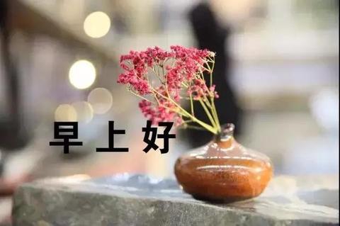 特别暖心的早安句子（早安健康短句祝福语）