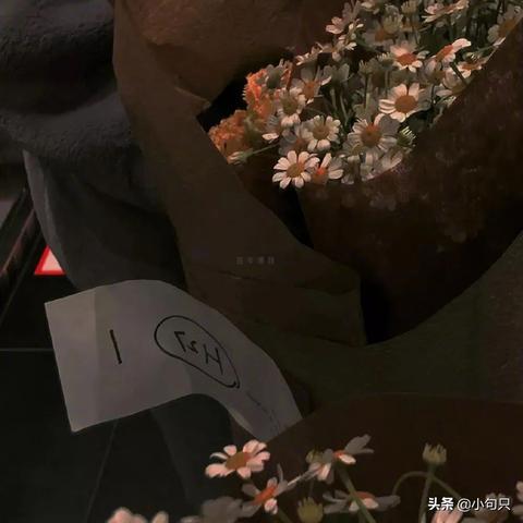 文艺温柔的文案（高级浪漫小众推荐大全）