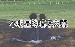 暗恋的文案句子不明显（双向暗恋的短句长句）