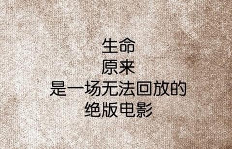 纪念爱情的句子唯美短句（爱情的经典语录）