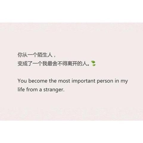 精美短句适合当置顶（微信置顶文案句子温柔寄语）