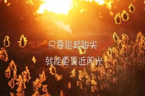 简短有深意的句子（简短又暗含深意的古风短语）