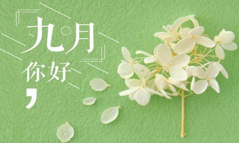 关于描写九月的句子（描写九月的风的优美长句）
