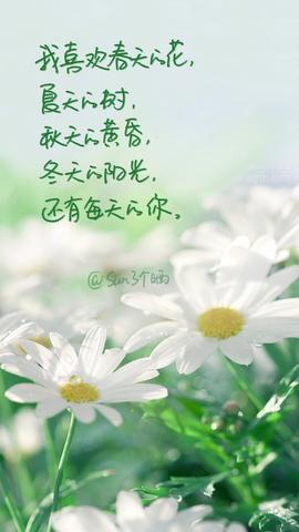 清新脱俗小众的文案（清新脱俗的简短好句）