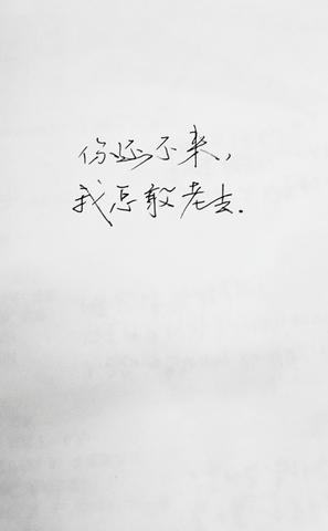 小众情绪文案短句（高级小众情绪问候语）