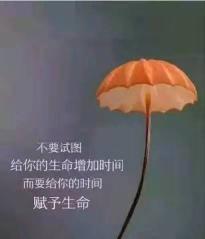 有哲理的句子（有深度的哲理佳句）