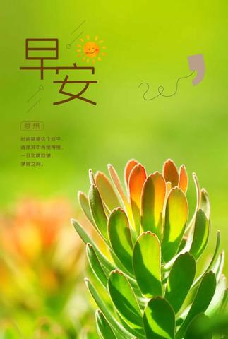 早安最暖心短句早安（特别暖心的早安唯美句子短语）