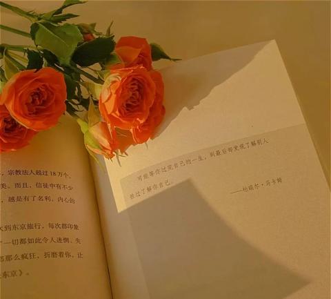 浪漫且高级的文案（简短高级感爱情短语）