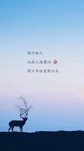 悲情爱情短句（200字情感语录爱情伤感大全金句）