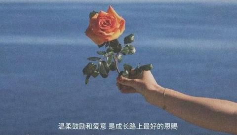 浪漫文案短句干净治愈（浪漫到极致的句子长句）