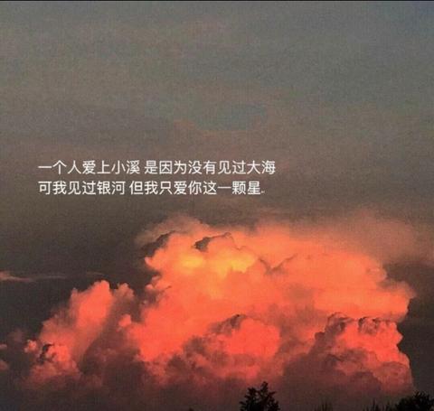 小众却惊艳的情话文案（温柔且浪漫至极的长句）