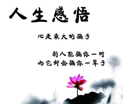 精辟人生感悟句子（精辟人生感悟寄语）