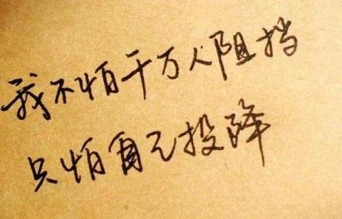 精辟人生感悟句子（精辟人生感悟寄语）