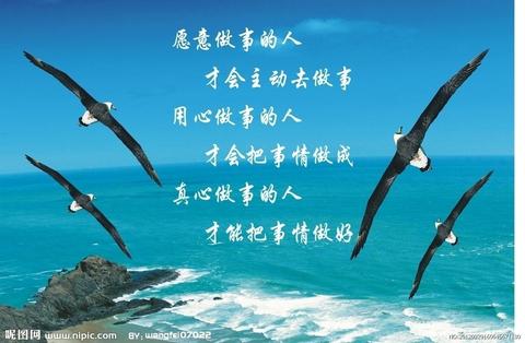名言警句鼓励（鼓励自己的有哪些寄语）
