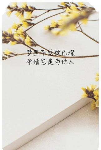 适合发朋友圈的长文案文艺（适合发朋友圈的长文艺短文）