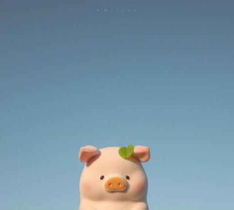 治愈系温柔短句（干净励志文案大全寄语）