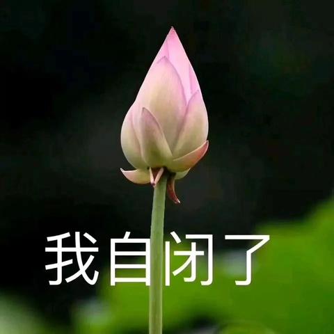 一瞬间情绪崩溃的句子（对生活崩溃绝望的短句）
