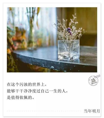 感悟人生喜欢独处的句子（女人一定学会安静独处的寄语）