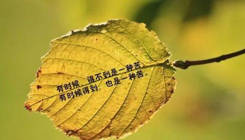 人生感悟句子大全（人生感悟格言赠言）