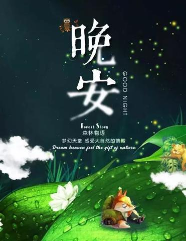 关于晚安的经典句子（简单大气的晚安寄语）