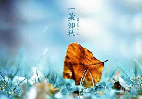 赞美初秋的诗句（描写初秋的句子短句唯美短语）