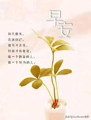 清新脱俗小众的文案（清新脱俗的高级好句）