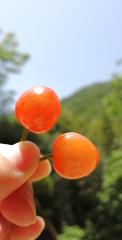关于夏天超级温柔的神仙句子（夏天是温柔的怎么写金句）