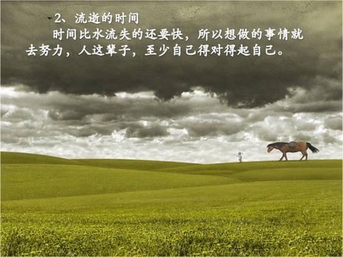 令人释怀的句子（心情淡然释怀的说说寄语）