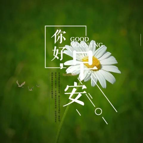 精致走心的早安心语短句（早安暖心话简子短语）