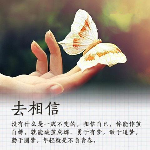 荡涤心灵的修行句子（大自然洗涤心灵的短文）