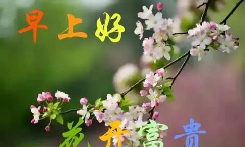 激励自己早安的句子（早安朋友圈文案好句）