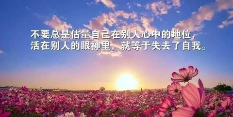 很惊艳的哲理唯美生活文案（哲理温柔的优秀短句）