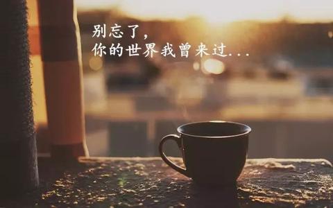 高情商伤感文案短句扎心（句句遗憾句句不提遗憾的句子摘抄）