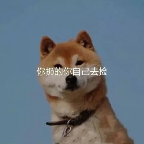 搞笑文案短句沙雕2022（搞笑接地气大全）