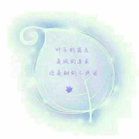 伤感释怀的句子（8个字高冷伤感短句）