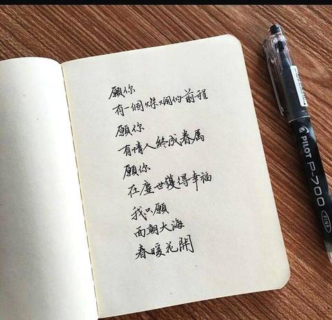 元气满满的正能量文案（元气满满可爱短句句子）