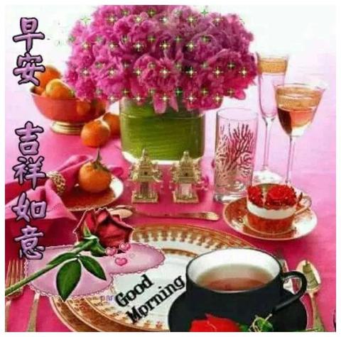 赞美人生的诗句（美满人生的句子大全）