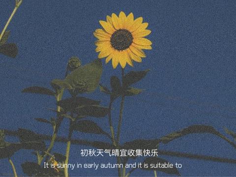 秋天树叶落了的说说（形容秋天的温柔句子祝福语）