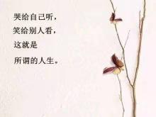 十句经典人生感悟句子（经典语录励志人生感悟说说）