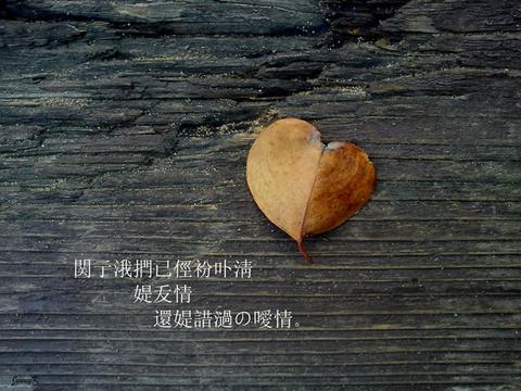 爱情语录打动人心的句子（往后余生爱情唯美文案）