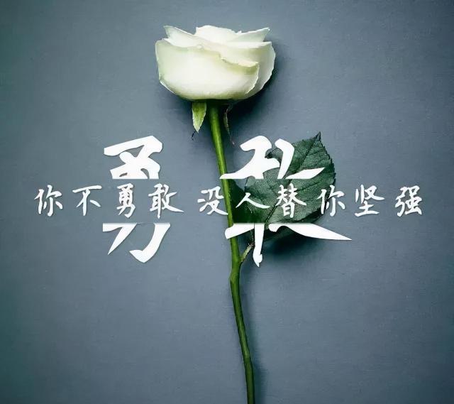 治愈的文案（治愈心情短句警句）