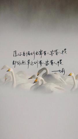 有意境的句子（唯美意境的摘抄）