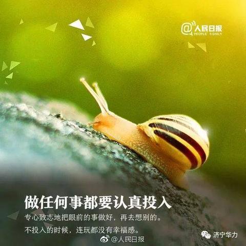 性格不合三观不同的句子（喜欢三观正的人的文案警句）