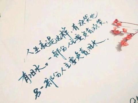 一些小众惊艳的文案（句句惊艳的走心佳句）
